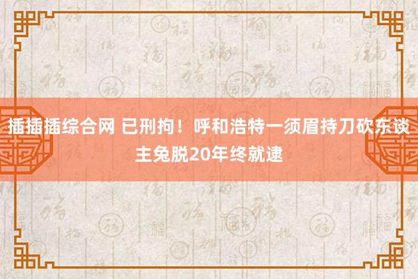 插插插综合网 已刑拘！呼和浩特一须眉持刀砍东谈主兔脱20年终就逮