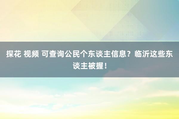 探花 视频 可查询公民个东谈主信息？临沂这些东谈主被握！