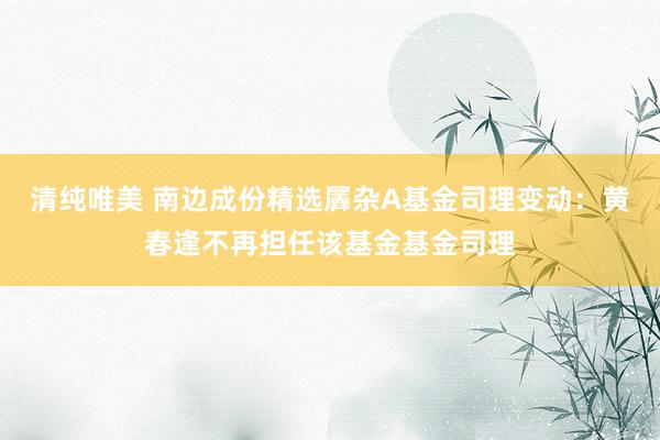 清纯唯美 南边成份精选羼杂A基金司理变动：黄春逢不再担任该基金基金司理