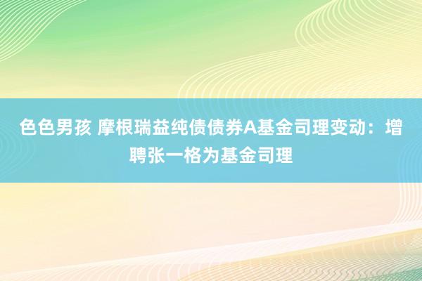 色色男孩 摩根瑞益纯债债券A基金司理变动：增聘张一格为基金司理