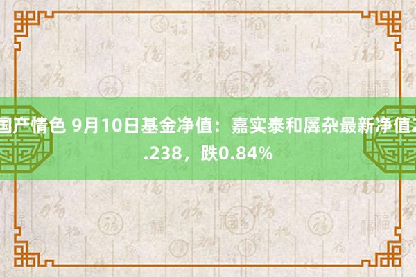 国产情色 9月10日基金净值：嘉实泰和羼杂最新净值2.238，跌0.84%