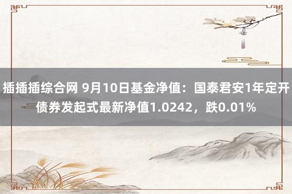 插插插综合网 9月10日基金净值：国泰君安1年定开债券发起式最新净值1.0242，跌0.01%