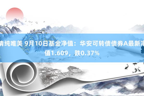 清纯唯美 9月10日基金净值：华安可转债债券A最新净值1.609，跌0.37%