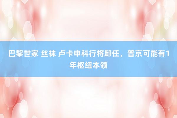 巴黎世家 丝袜 卢卡申科行将卸任，普京可能有1年枢纽本领