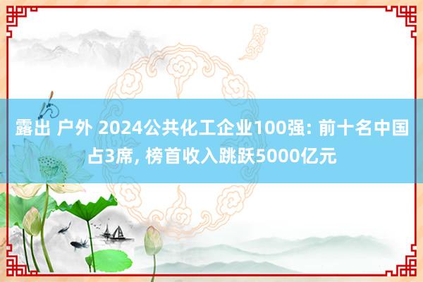 露出 户外 2024公共化工企业100强: 前十名中国占3席， 榜首收入跳跃5000亿元