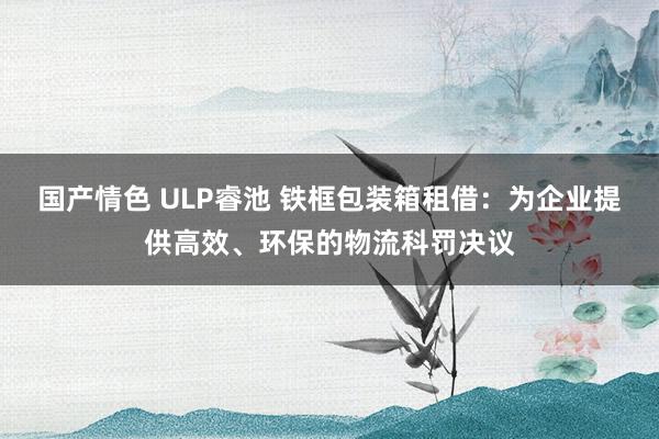 国产情色 ULP睿池 铁框包装箱租借：为企业提供高效、环保的物流科罚决议