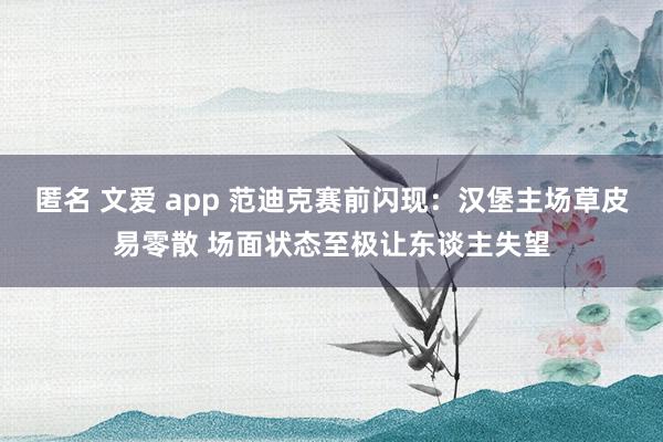 匿名 文爱 app 范迪克赛前闪现：汉堡主场草皮易零散 场面状态至极让东谈主失望