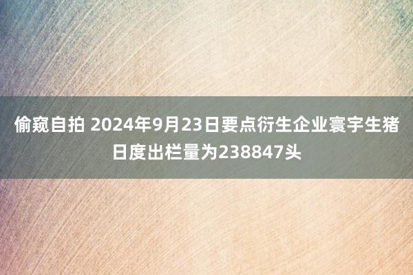 偷窥自拍 2024年9月23日要点衍生企业寰宇生猪日度出栏量为238847头