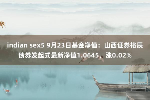 indian sex5 9月23日基金净值：山西证券裕辰债券发起式最新净值1.0645，涨0.02%