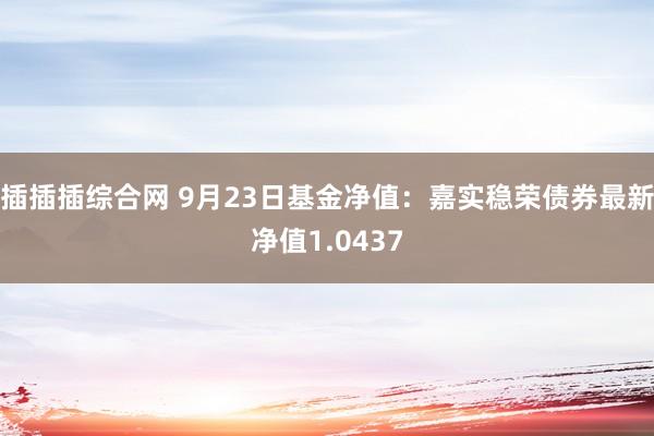 插插插综合网 9月23日基金净值：嘉实稳荣债券最新净值1.0437