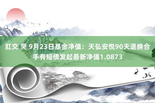 肛交 哭 9月23日基金净值：天弘安悦90天退换合手有短债发起最新净值1.0873