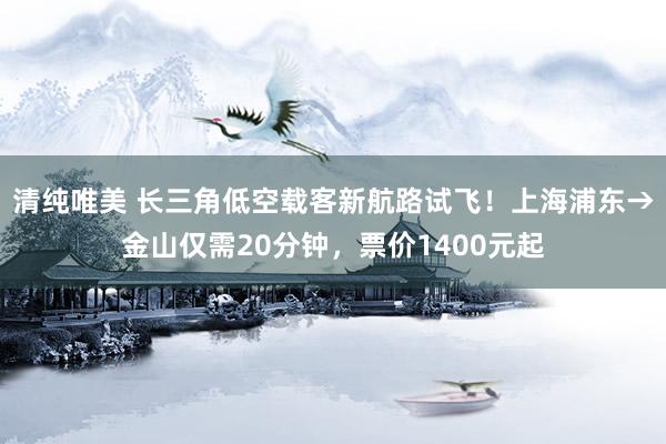 清纯唯美 长三角低空载客新航路试飞！上海浦东→金山仅需20分钟，票价1400元起