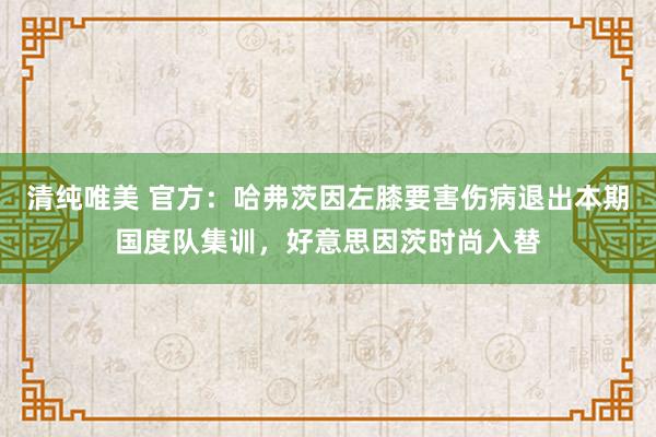 清纯唯美 官方：哈弗茨因左膝要害伤病退出本期国度队集训，好意思因茨时尚入替