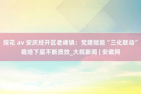 探花 av 安庆经开区老峰镇：党建赋能“三化联动”栽培下层不断质效_大皖新闻 | 安徽网