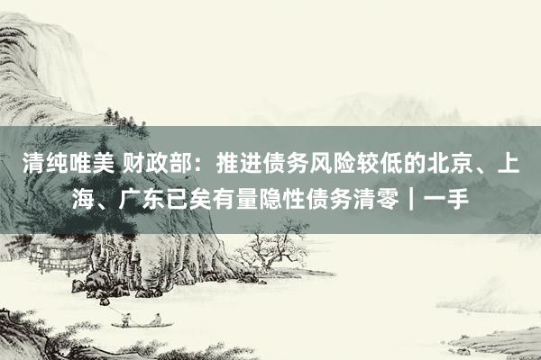 清纯唯美 财政部：推进债务风险较低的北京、上海、广东已矣有量隐性债务清零｜一手