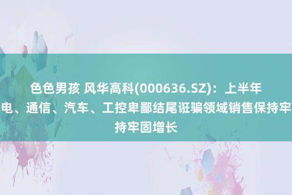 色色男孩 风华高科(000636.SZ)：上半年公司家电、通信、汽车、工控卑鄙结尾诳骗领域销售保持牢固增长