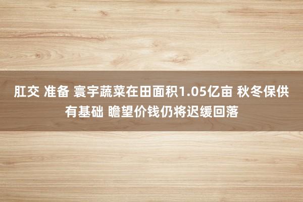 肛交 准备 寰宇蔬菜在田面积1.05亿亩 秋冬保供有基础 瞻望价钱仍将迟缓回落