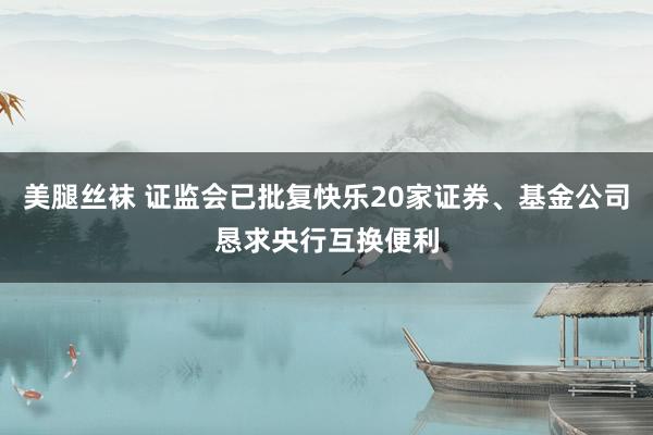 美腿丝袜 证监会已批复快乐20家证券、基金公司恳求央行互换便利