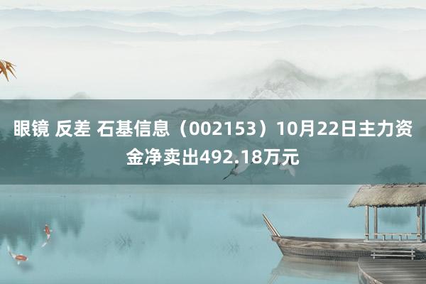 眼镜 反差 石基信息（002153）10月22日主力资金净卖出492.18万元