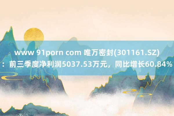 www 91porn com 唯万密封(301161.SZ)：前三季度净利润5037.53万元，同比增长60.84%