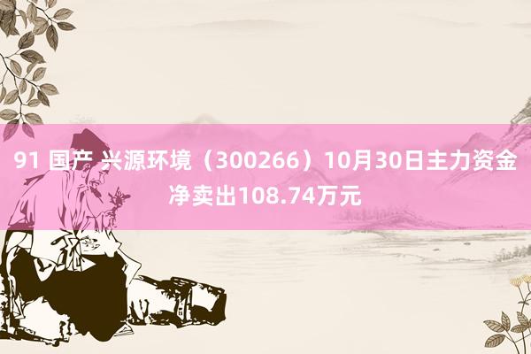 91 国产 兴源环境（300266）10月30日主力资金净卖出108.74万元