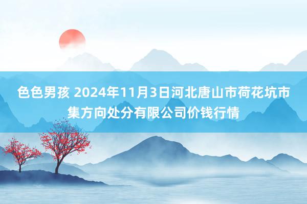 色色男孩 2024年11月3日河北唐山市荷花坑市集方向处分有限公司价钱行情