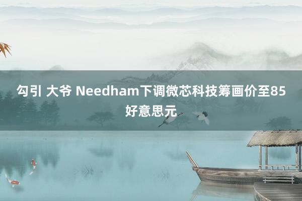 勾引 大爷 Needham下调微芯科技筹画价至85好意思元