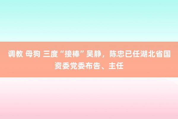 调教 母狗 三度“接棒”吴静，陈忠已任湖北省国资委党委布告、主任