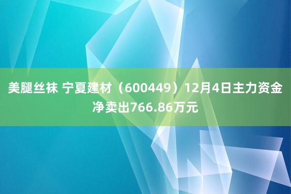 美腿丝袜 宁夏建材（600449）12月4日主力资金净卖出766.86万元