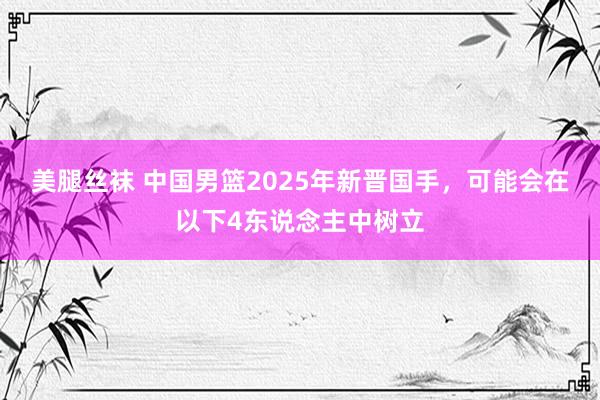 美腿丝袜 中国男篮2025年新晋国手，可能会在以下4东说念主中树立