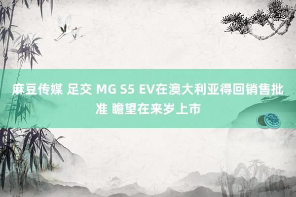 麻豆传媒 足交 MG S5 EV在澳大利亚得回销售批准 瞻望在来岁上市