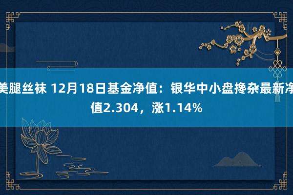 美腿丝袜 12月18日基金净值：银华中小盘搀杂最新净值2.304，涨1.14%