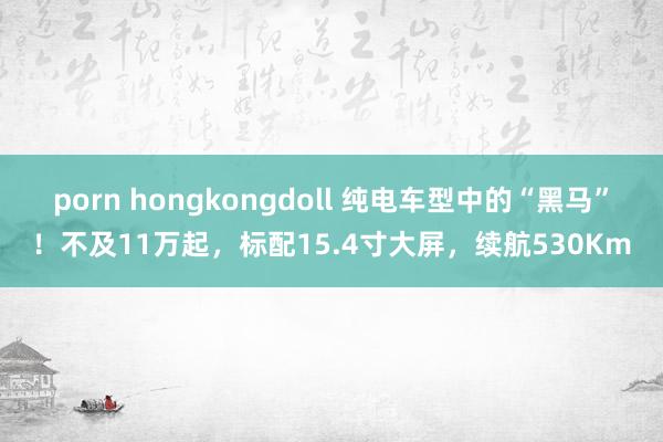 porn hongkongdoll 纯电车型中的“黑马”！不及11万起，标配15.4寸大屏，续航530Km