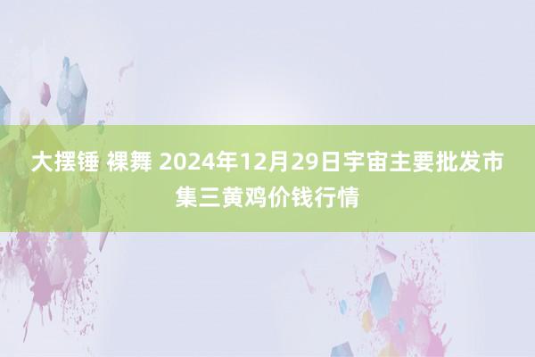 大摆锤 裸舞 2024年12月29日宇宙主要批发市集三黄鸡价钱行情