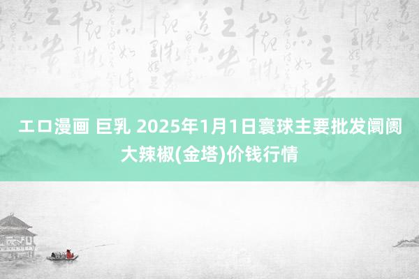 エロ漫画 巨乳 2025年1月1日寰球主要批发阛阓大辣椒(金塔)价钱行情