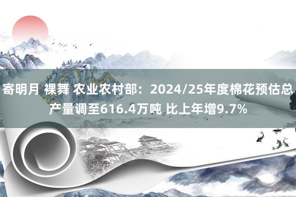 寄明月 裸舞 农业农村部：2024/25年度棉花预估总产量调至616.4万吨 比上年增9.7%