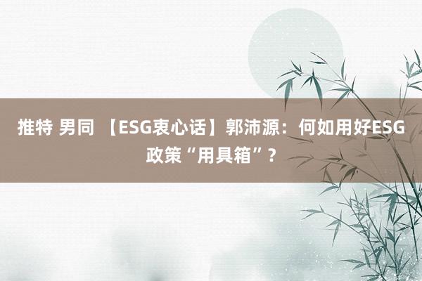 推特 男同 【ESG衷心话】郭沛源：何如用好ESG政策“用具箱”？