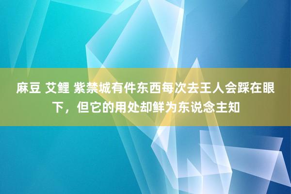 麻豆 艾鲤 紫禁城有件东西每次去王人会踩在眼下，但它的用处却鲜为东说念主知