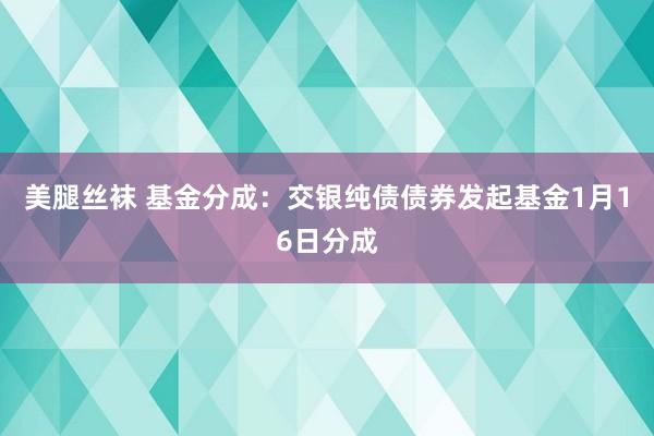 美腿丝袜 基金分成：交银纯债债券发起基金1月16日分成