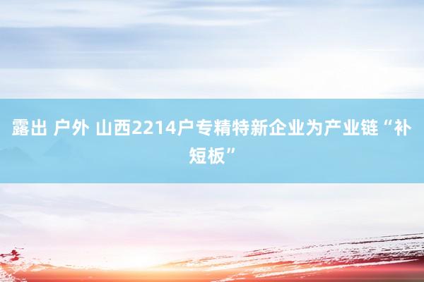 露出 户外 山西2214户专精特新企业为产业链“补短板”