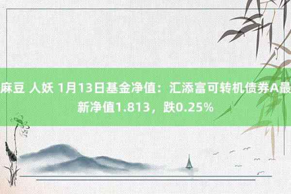 麻豆 人妖 1月13日基金净值：汇添富可转机债券A最新净值1.813，跌0.25%