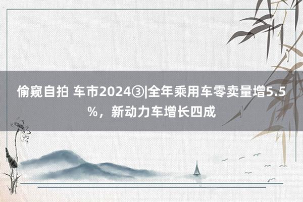 偷窥自拍 车市2024③|全年乘用车零卖量增5.5%，新动力车增长四成