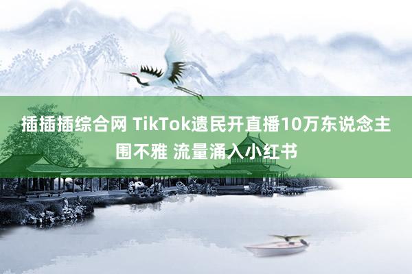 插插插综合网 TikTok遗民开直播10万东说念主围不雅 流量涌入小红书