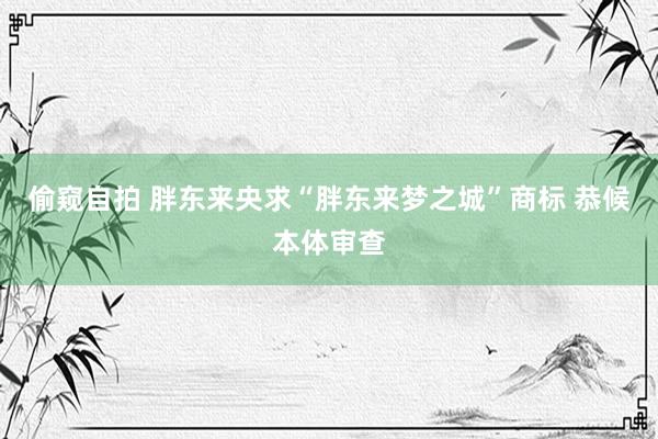 偷窥自拍 胖东来央求“胖东来梦之城”商标 恭候本体审查