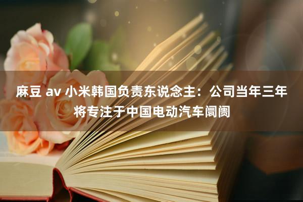 麻豆 av 小米韩国负责东说念主：公司当年三年将专注于中国电动汽车阛阓