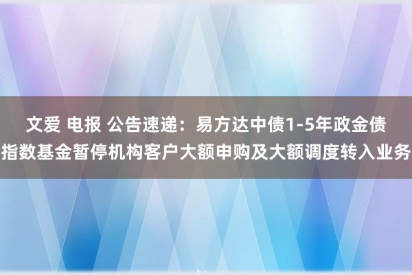 文爱 电报 公告速递：易方达中债1-5年政金债指数基金暂停机构客户大额申购及大额调度转入业务